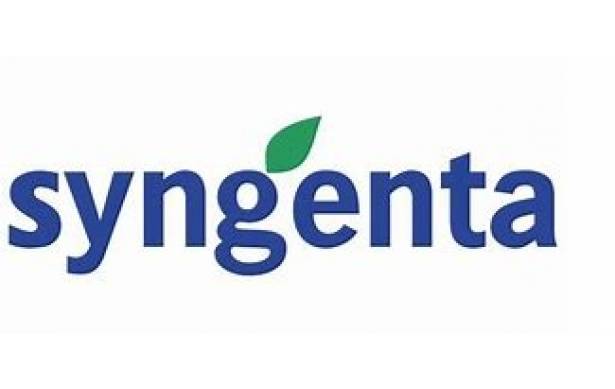 SYNGENTA 